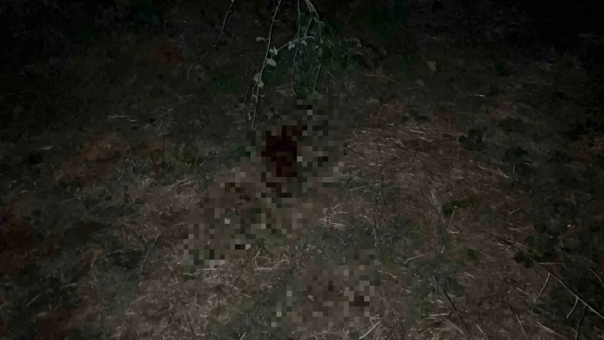 Bursa’da iki genç arasında bıçaklı kavga: 1 ölü Bursa’da iki genç arasında bıçaklı kavga: 1 ölü