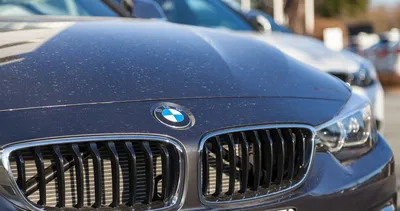 Sonunda ortaya çıktı