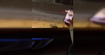 Ardahan’da şehre inen kurt görüntülendi