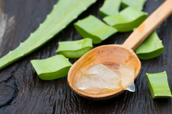 Aloe vera faydaları ile konuşuluyor!