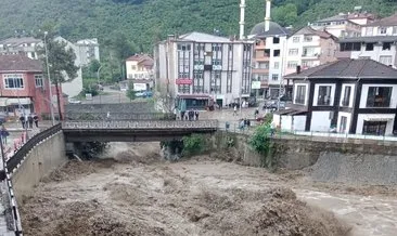 Muş ve Ordu’da sel 2 can aldı