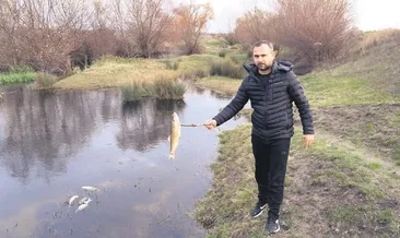 Yuvalı deresi mercek altında