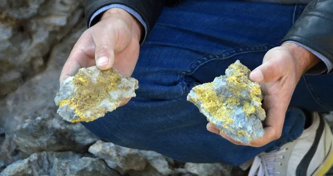 Türkiye için 'Altın rezervi' müjdesi: Üretimde tarih verildi - Son Dakika Haberler