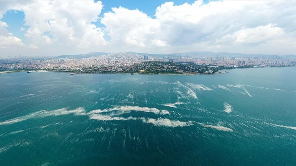 Bakanlık göz açtırmıyor! Marmara'da müsilaja sıkı takip: 55 tesisin kapısına mühür vuruldu