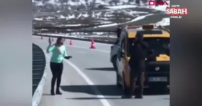 pitbull kimdir guncel pitbull haberleri