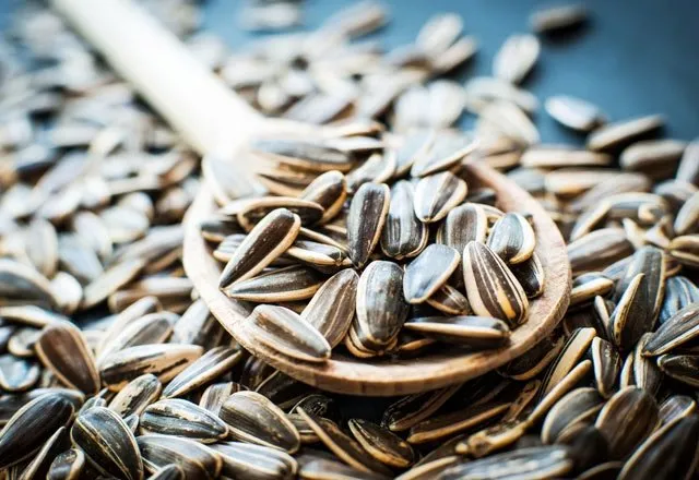 SaÄ?lıklı bir hayat için tüketilmesi gereken tohumlar