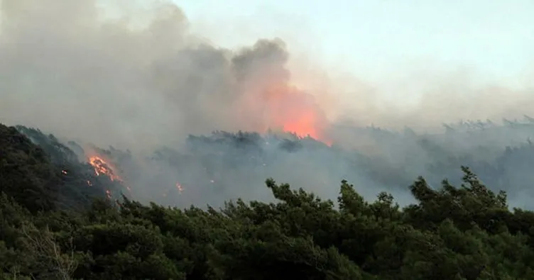 Muğla Datça’daki orman yangında kundaklama şüphesi