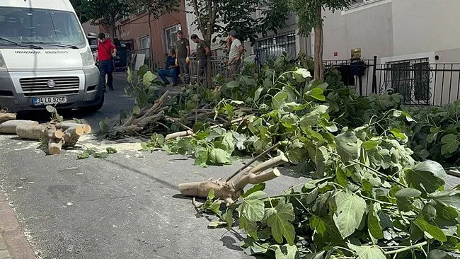 SON DAKİKA… İstanbul’da şiddetli fırtına nedeniyle Gülhane Parkı kapatıldı! Ağaçlar devrildi 2 kişi yaralandı: Evde kalın uyarısı!