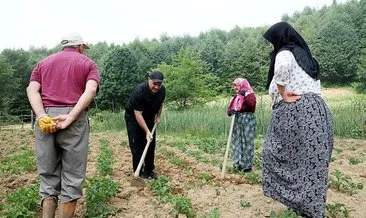 Bütün bahçeyi valiye çapalattı