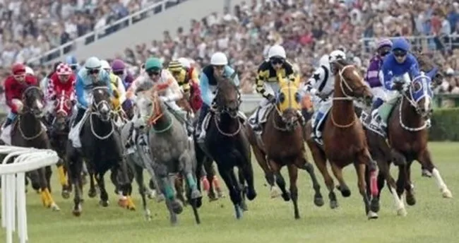 Türkiye'nin efsane atları - Spor Haberleri