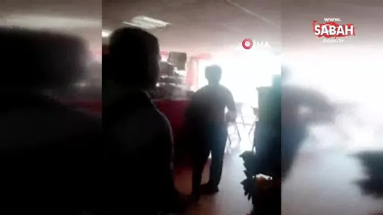 Meksika’da yaban arıları insanlara saldırdı: 1 ölü | Video