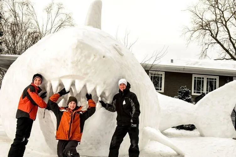 16 metrelik kardan köpek balığı