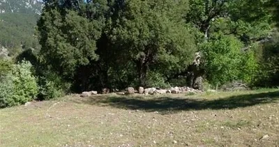 Türk aileye şaşırmamak elde değil! Kira vermek istemeyince...