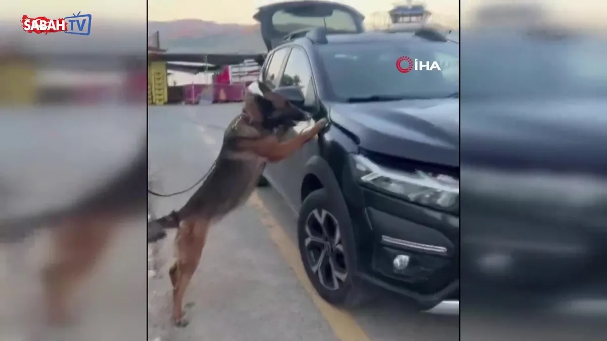 Tunceli’de uyuşturucu operasyonu: 2 şüpheli tutuklandı | Video videosunu izle Tunceli’de uyuşturucu operasyonu: 2 şüpheli tutuklandı | Video videosunu izle