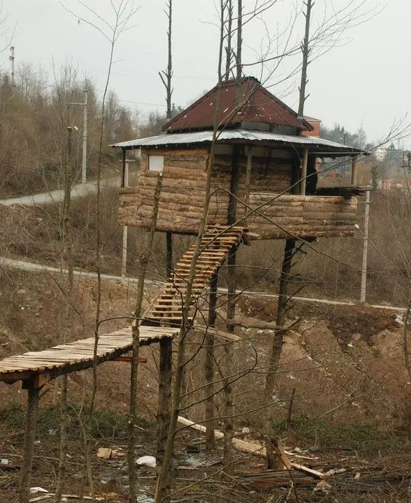 Ağacın üzerine ev yaptı