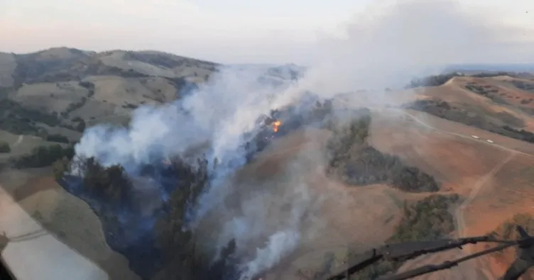 Adana’da orman yangını: Havadan ve karadan müdahale ediliyor