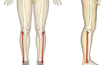 Bacağın dizden ayak bileğine kadar olan bölümüne ne denir? - 12 Eylül Çarşamba ipucu sorusu cevabı