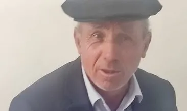Hayvanları otlatırken ayı saldırdı, inekleri kurtardı #sivas