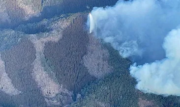 Japonya’da alevler söndürülemiyor: 2100 hektarlık alan yandı