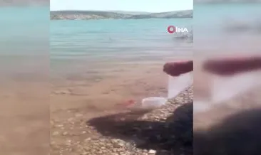 ABD uyruklu kişi bu kez de baraj gölüne kırmızı balıklar bırakırken yakalandı