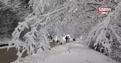 Karla kaplı Abant’ta kış güzelliği | Video