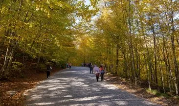 Abant Gölü Yürüyüş Parkuru Kaç Kilometre? Abant Gölü Yürüyüş Parkuru Başlangıcı Ve Bitişi Nerede? #bolu Abant Gölü Yürüyüş Parkuru Kaç Kilometre? Abant Gölü Yürüyüş Parkuru Başlangıcı Ve Bitişi Nerede? #bolu