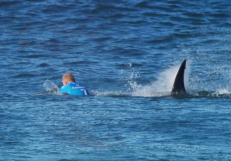 Ünlü sörfçüye köpekbalığı saldırısı!