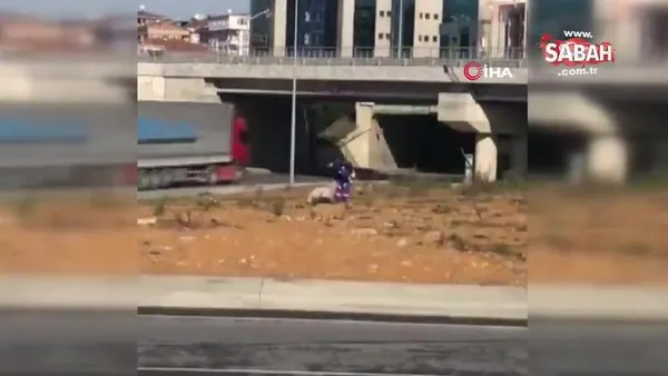 Temizlik işçisinden alkışlanacak hareket... Türk bayrağını temizledi öperek alnına koydu |Video