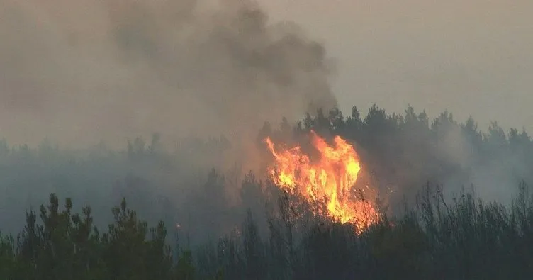 AFAD Başkanı Sezer açıkladı: Tekirdağ’daki orman yangınında son durum