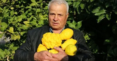 Meraklı çiftçi bahçesine bergamot hasat etti