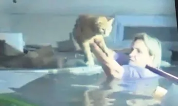 Boğulmayı göze alıp kedisini kurtardı