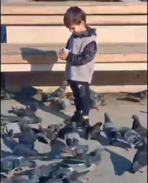 son-dakika-bursada-yurek-yakan-kaza-minik-serhattan-geriye-sadece-bu-goruntuler-kaldi-1773647158924.jpg (478×592)