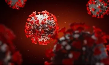 Koronavirüsün kökeni belli oldu! 20 bin yıldır görülüyor…
