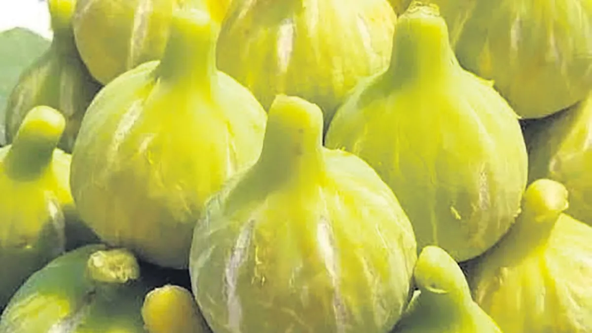 Yılda sadece birkaç hafta bulunuyor! Bu meyvenin lezzeti unutulmuyor Yılda sadece birkaç hafta bulunuyor! Bu meyvenin lezzeti unutulmuyor