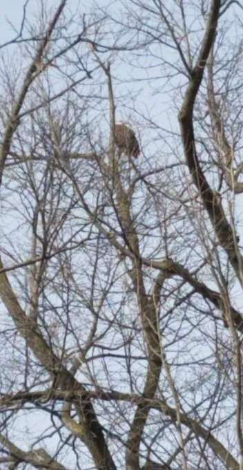 Yoldan geçene kabusu yaşatıyor! Sarışınları hedef alıyor, korkudan yanlarında sopa taşıyorlar