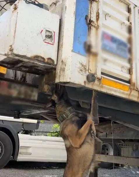Hakkari Uyuşturucu Operasyonu