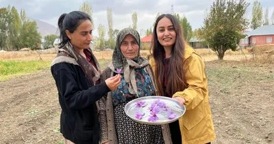 Kadın gücüyle Yüksekova safranla tanıştı #hakkari