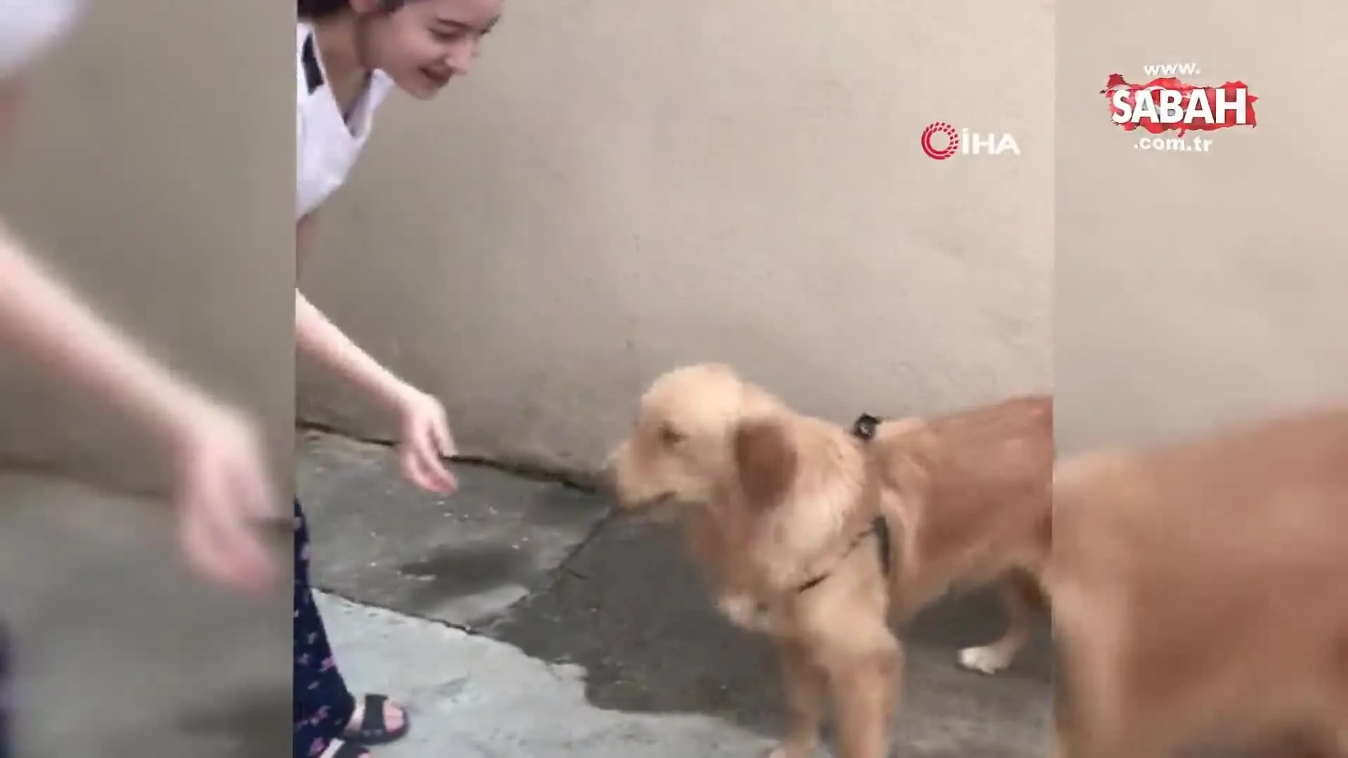 Izne Gelen Mehmetcigin Kopegi Ile Gozleri Yasartan Bulusmasi Kamerada Video Videosunu Izle Son Dakika Haberleri