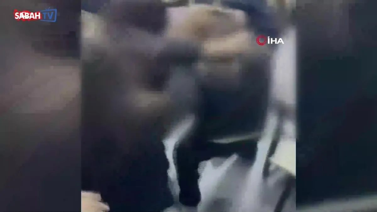 Lisedeki kız öğrencilerin saç saça baş başa girdiği kavga anları kamerada | Video videosunu izle Lisedeki kız öğrencilerin saç saça baş başa girdiği kavga anları kamerada | Video videosunu izle