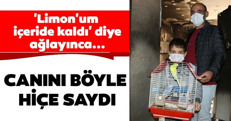 Antalya’da oğlu ’Limon’um içeride kaldı’ diye ağlayınca canını hiçe sayarak evcil hayvanları kurtardı