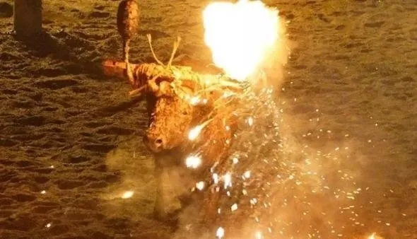 Böyle bir vahÅet görülmedi... Diri diri yaktılar...