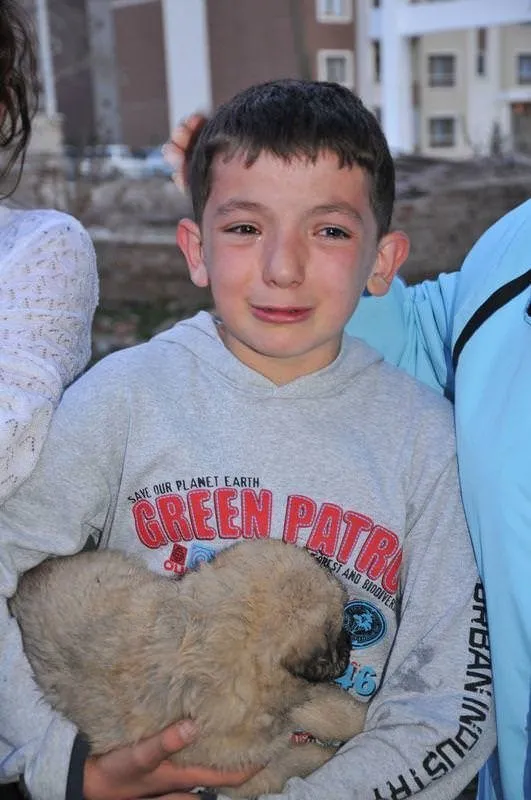 Hamile köpek dövülerek öldürüldü