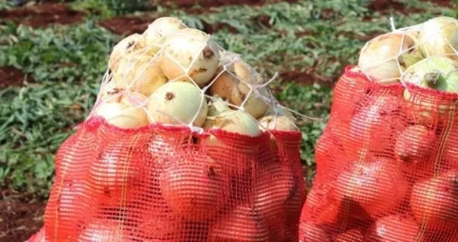 adana sebze halinde sogan 75 kurusa