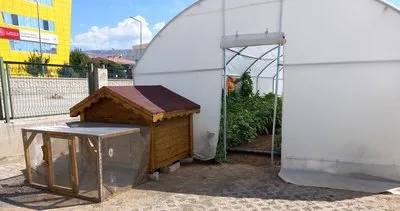 Erzincan’da okuldaki çiftlik büyümeye devam ediyor #erzincan