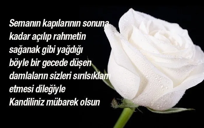 Mevlid Kandili mesajları ve sözleri! 2020 Kısa, Uzun Kandil mesajları ve Resimli Mevlid Kandil mesajı