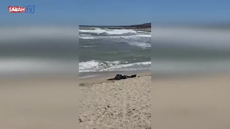 Karaburun sahilde ceset bulundu | Video