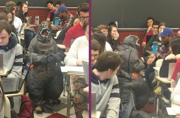 Birbirinden ilginç kareler!