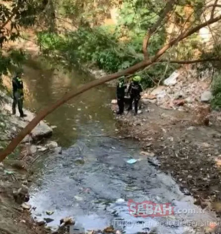 İngiliz Bilim insanının cesedi parçalara ayrılmış halde bulundu! Çocuklar tarafından bir valizin içinde…