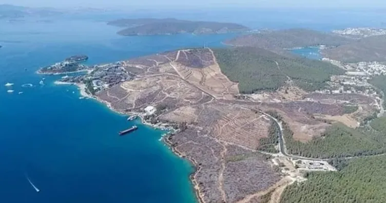 ’Bitmeyen ormana otel yalanı’ Orman Genel Müdürlüğünden açıklama...