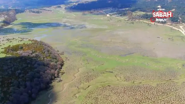Türkiye’de böylesini hiç görmediniz. Karagöl Yaylası eşsiz manzarası ve el değmemiş doğası ile dikkat çekiyor | Video